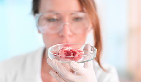 open-co-agroalimentare-prolabq