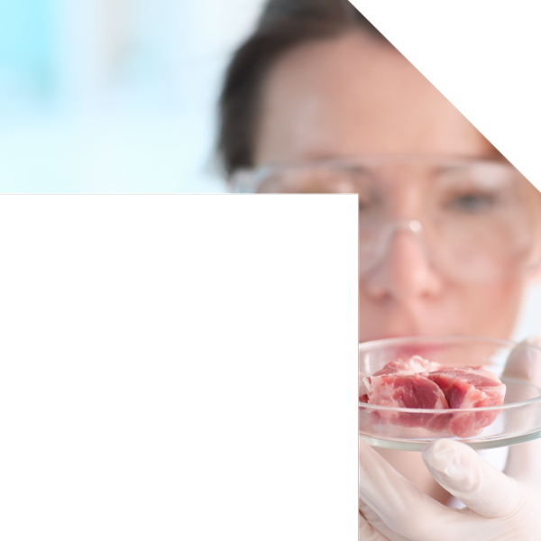 header-agroalimentare