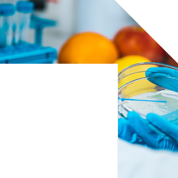 header-microbiologia