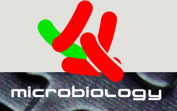 Prolab.Q LIMS Microbiology Module